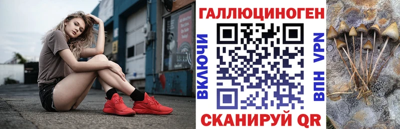 Галлюциногенные грибы Magic Shrooms  наркотики  blacksprut как войти  Курск 